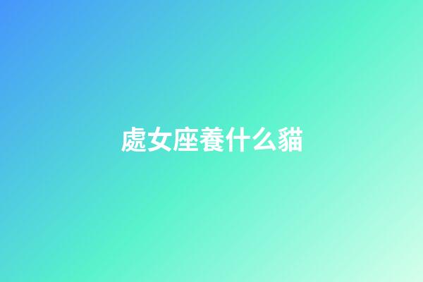 處女座養什么貓-第1張-星座運勢-玄機派
