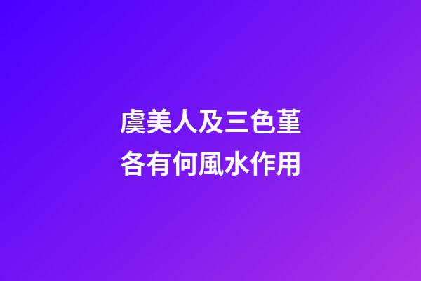 虞美人及三色堇各有何風水作用?