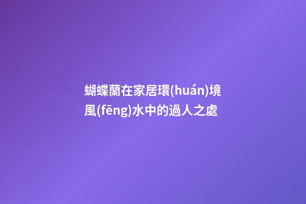 蝴蝶蘭在家居環(huán)境風(fēng)水中的過人之處