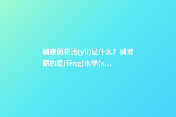 蝴蝶蘭花語(yǔ)是什么？蝴蝶蘭的風(fēng)水學(xué)應(yīng)用