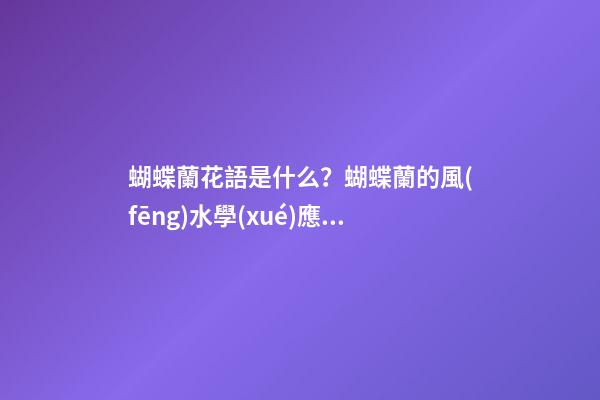 蝴蝶蘭花語是什么？蝴蝶蘭的風(fēng)水學(xué)應(yīng)用