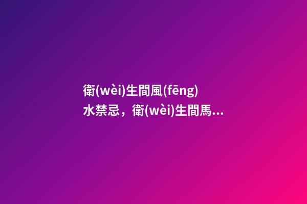 衛(wèi)生間風(fēng)水禁忌，衛(wèi)生間馬桶的六大風(fēng)水講究