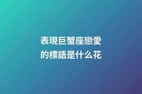 表現巨蟹座戀愛的標語是什么花