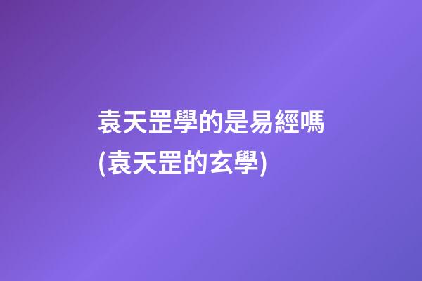 袁天罡學的是易經嗎(袁天罡的玄學)