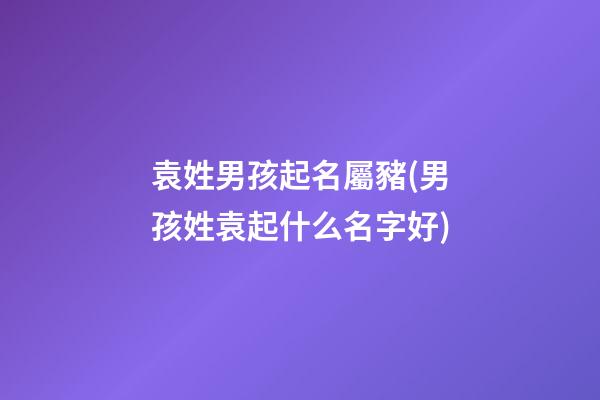 袁姓男孩起名屬豬(男孩姓袁起什么名字好)