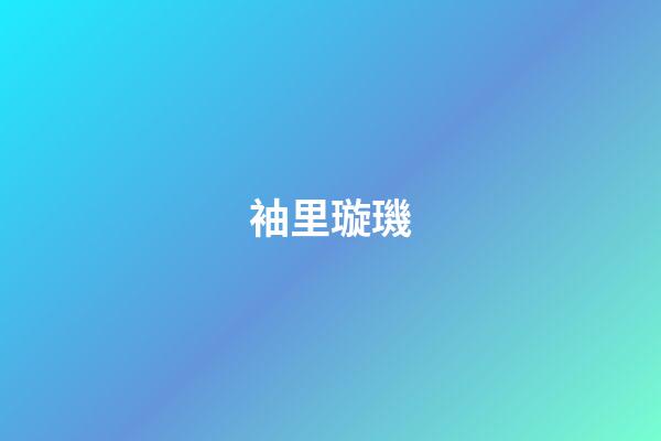 袖里璇璣
