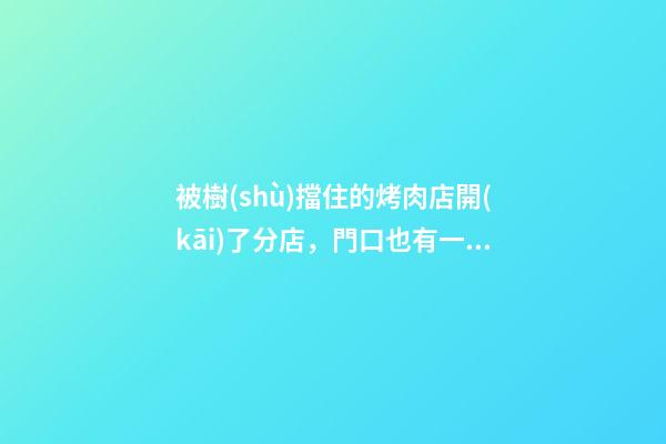 被樹(shù)擋住的烤肉店開(kāi)了分店，門口也有一棵樹(shù)-第1張-店鋪起名-玄機(jī)派