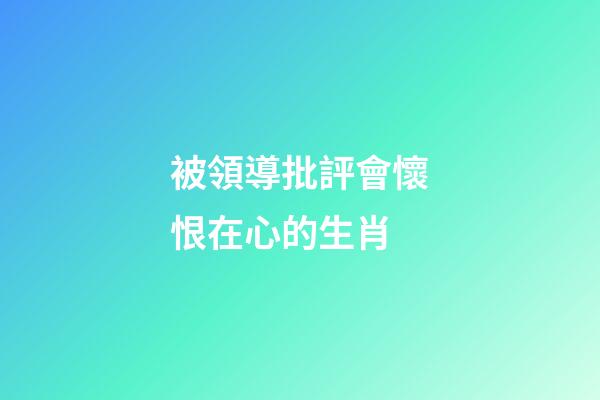被領導批評會懷恨在心的生肖
