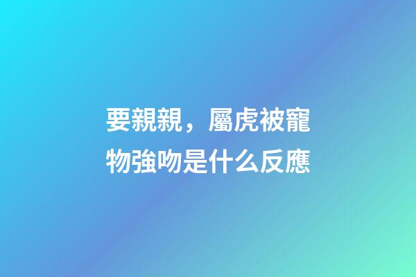 要親親，屬虎被寵物強吻是什么反應