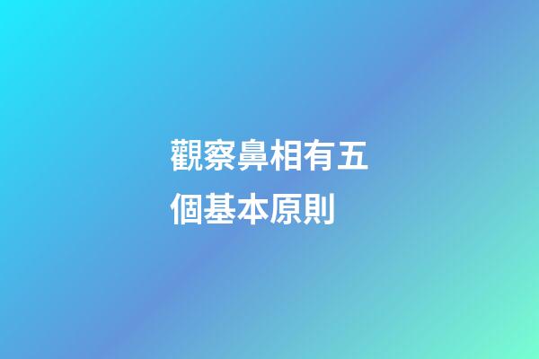 觀察鼻相有五個基本原則