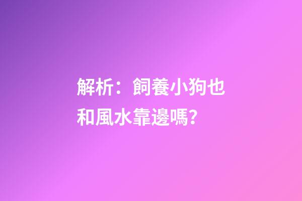 解析：飼養小狗也和風水靠邊嗎？