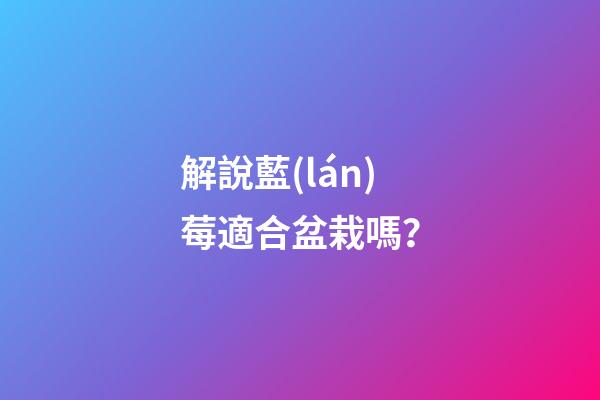 解說藍(lán)莓適合盆栽嗎？