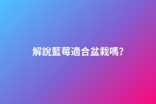 解說藍莓適合盆栽嗎？