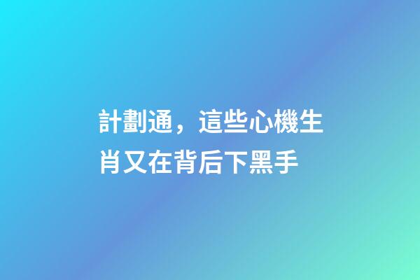計劃通，這些心機生肖又在背后下黑手