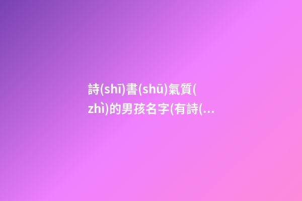 詩(shī)書(shū)氣質(zhì)的男孩名字(有詩(shī)書(shū)氣質(zhì)的男孩名)
