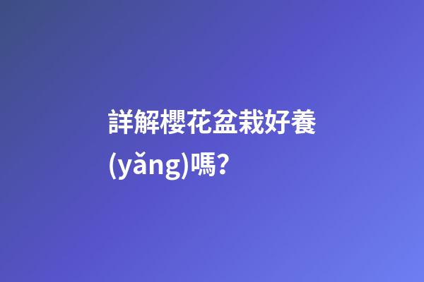 詳解櫻花盆栽好養(yǎng)嗎？