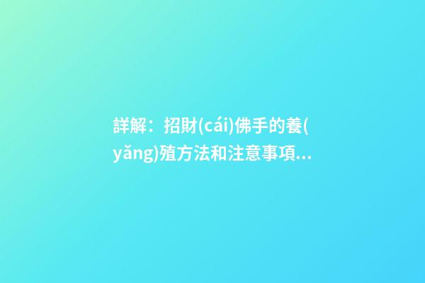 詳解：招財(cái)佛手的養(yǎng)殖方法和注意事項(xiàng)