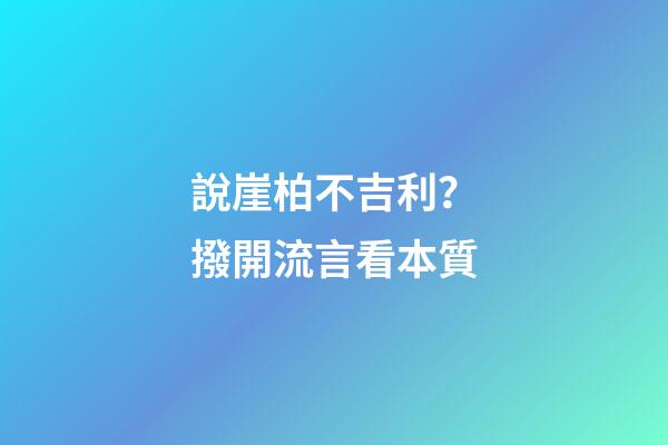 說崖柏不吉利？撥開流言看本質