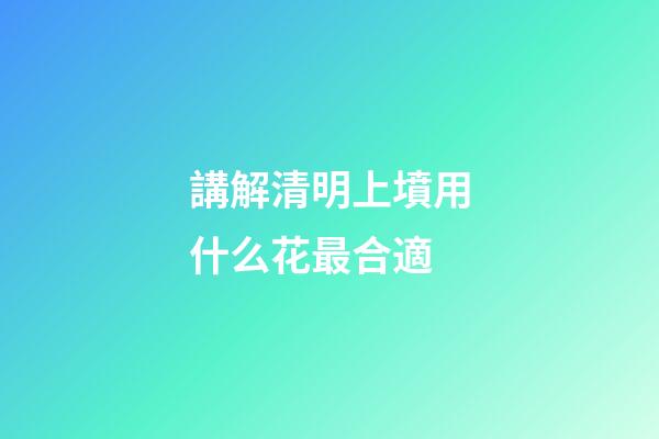 講解清明上墳用什么花最合適