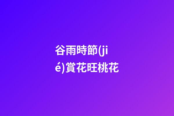 谷雨時節(jié)賞花旺桃花