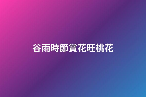 谷雨時節賞花旺桃花