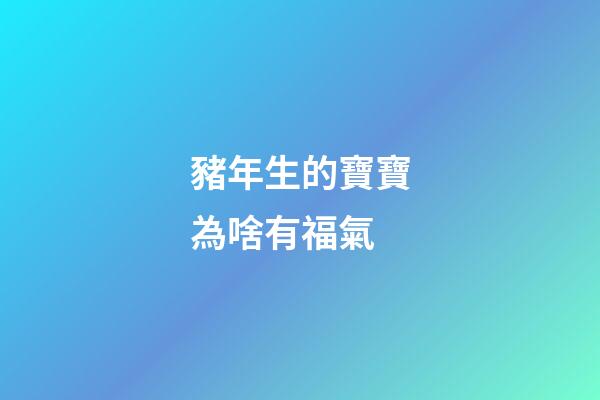 豬年生的寶寶為啥有福氣