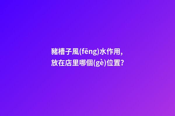 豬槽子風(fēng)水作用,放在店里哪個(gè)位置？