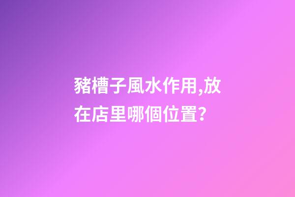 豬槽子風水作用,放在店里哪個位置？
