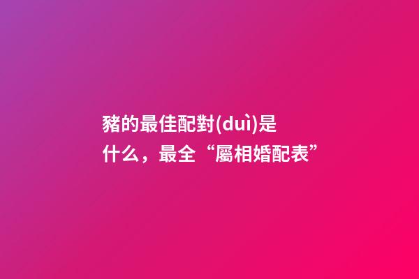 豬的最佳配對(duì)是什么，最全“屬相婚配表”-第1張-觀點(diǎn)-玄機(jī)派
