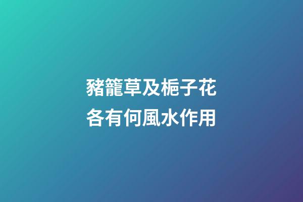 豬籠草及梔子花各有何風水作用?
