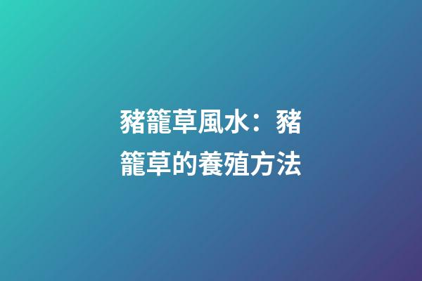 豬籠草風水：豬籠草的養殖方法