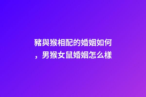 豬與猴相配的婚姻如何，男猴女鼠婚姻怎么樣-第1張-觀點(diǎn)-玄機(jī)派