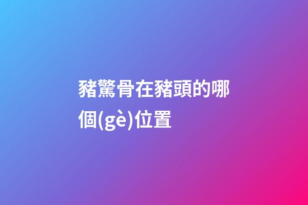 豬驚骨在豬頭的哪個(gè)位置