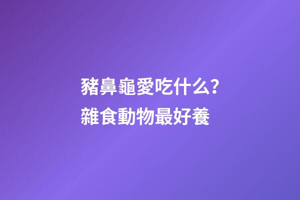 豬鼻龜愛吃什么？雜食動物最好養