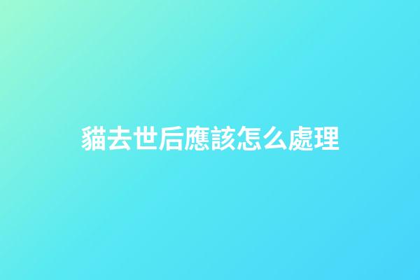 貓去世后應該怎么處理