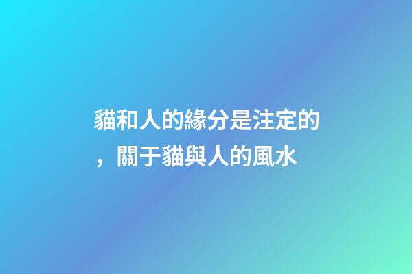 貓和人的緣分是注定的，關于貓與人的風水