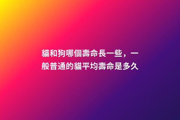貓和狗哪個壽命長一些，一般普通的貓平均壽命是多久-第1張-觀點-玄機派