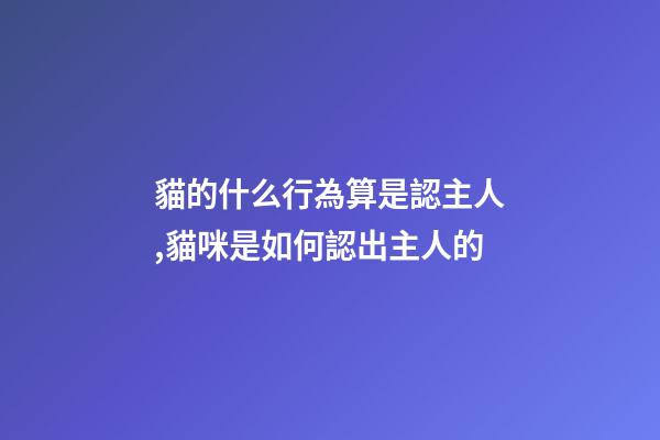 貓的什么行為算是認主人,貓咪是如何認出主人的-第1張-觀點-玄機派