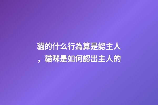 貓的什么行為算是認主人，貓咪是如何認出主人的-第1張-觀點-玄機派