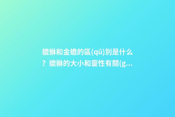 貔貅和金蟾的區(qū)別是什么？貔貅的大小和靈性有關(guān)系嗎？