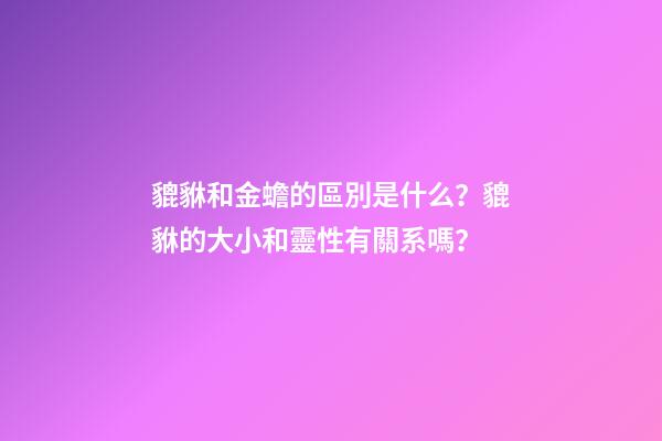 貔貅和金蟾的區別是什么？貔貅的大小和靈性有關系嗎？
