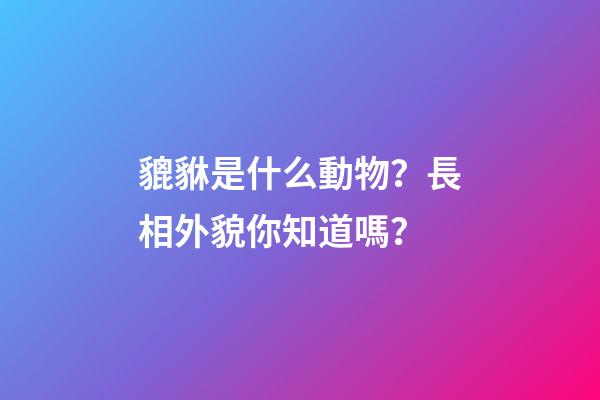 貔貅是什么動物？長相外貌你知道嗎？