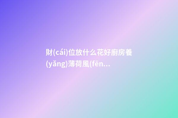財(cái)位放什么花好廚房養(yǎng)薄荷風(fēng)水