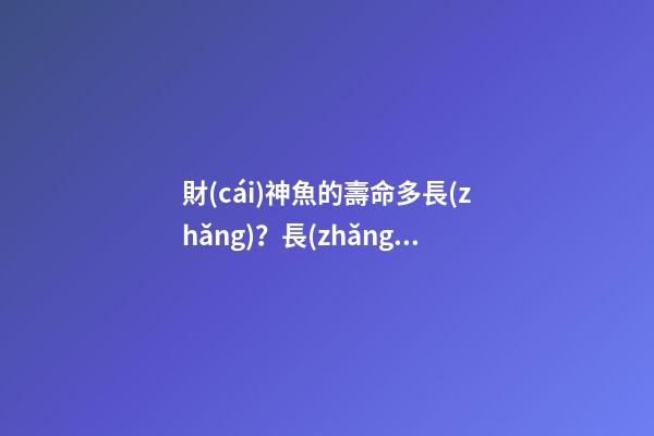 財(cái)神魚的壽命多長(zhǎng)？長(zhǎng)達(dá)八年之久