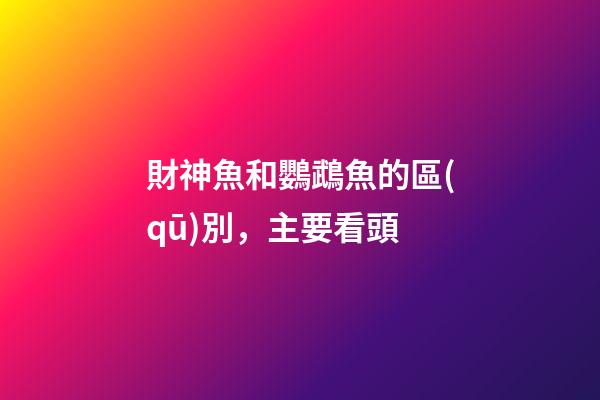 財神魚和鸚鵡魚的區(qū)別，主要看頭