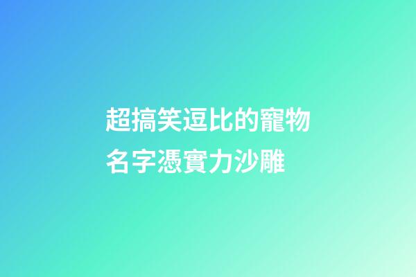 超搞笑逗比的寵物名字憑實力沙雕