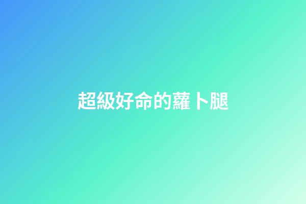超級好命的蘿卜腿