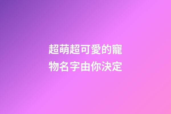 超萌超可愛的寵物名字由你決定