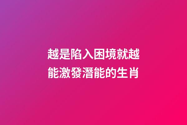 越是陷入困境就越能激發潛能的生肖