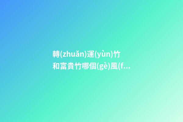 轉(zhuǎn)運(yùn)竹和富貴竹哪個(gè)風(fēng)水更好，擺放竹子的講究